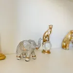 شقة Mora باري